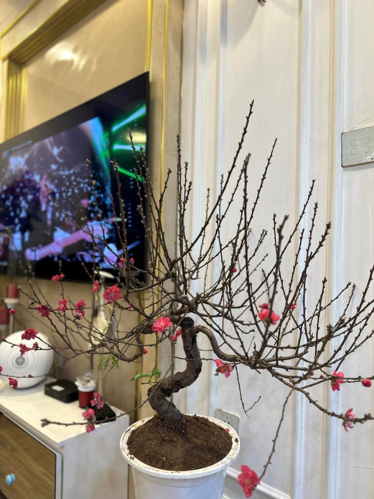 View - Mạnh Trường tậu biệt thự view núi, Việt Anh có cơ ngơi sang chảnh như khách sạn 5 sao