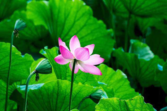 7 dấu hiệu cho thấy một người đang sống tốt hơn - 2