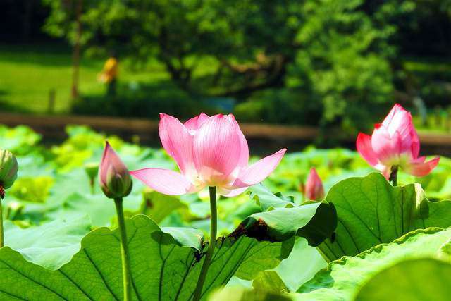 7 dấu hiệu cho thấy một người đang sống tốt hơn - 3