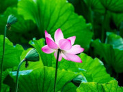 Eva tám - 7 dấu hiệu cho thấy một người đang sống tốt hơn