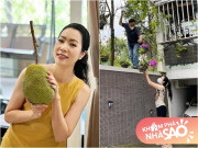 Nhà đẹp - Trịnh Kim Chi trồng 3 năm mới được 1 trái mít, cảnh làm vườn cùng chồng trong biệt thự 10 tỷ gây chú ý