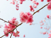 Eva tám - Không phải càng gần càng thân, đây mới là mối quan hệ thoải mái nhất giữa người lớn