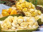 Tiêu dùng - Độc lạ loại mít bổ ra lại thơm nức hương vị sầu riêng, ruột 3 màu hấp dẫn, đắt gấp 5 lần mít thường vẫn cháy hàng