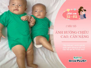 Nuôi con IQ EQ - Cặp song sinh được bà và mẹ nuôi nhưng anh to gấp đôi em trai do cách cho ăn khác nhau