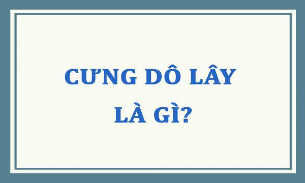 “Cưng dô lây” được giởi trẻ sử dụng rần rần dạo gần đây trên mạng xã hội.