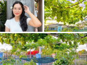 Nhà đẹp - 10X trồng giàn nho trĩu quả trước hiên nhà rộng 15m2, thu hoạch 40kg/đợt, nhìn chùm to lúc lỉu thấy mà ham