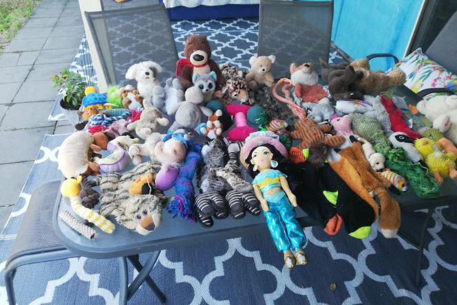 View - Mèo "đạo tặc” mang đồ đi tặng cho hàng xóm mới để lấy lòng, khi "rửa tay gác kiếm” tiếng xấu đã đồn xa