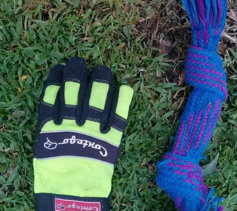 View - Mèo "đạo tặc” mang đồ đi tặng cho hàng xóm mới để lấy lòng, khi "rửa tay gác kiếm” tiếng xấu đã đồn xa