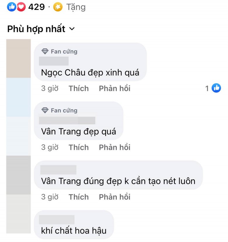 Chân dung mẹ 3 con mê đọ sắc dàn Hoa hậu đẹp nhất Việt Nam: Hạn chế chiều cao, nhan sắc có thừa - 4