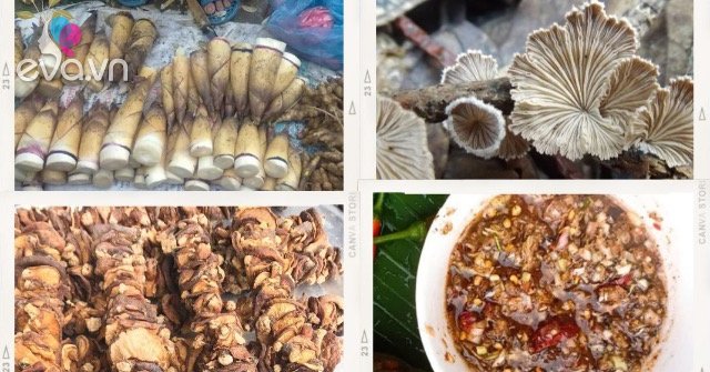 View - 7 đặc sản Lào Cai mua về làm quà thì tuyệt đỉnh, ai cũng khen khéo chọn