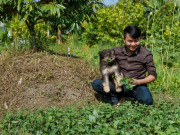 Tin tức - Chàng trai Hậu Giang chưa học hết lớp 12 thành Tiktoker, tạo ra trăm video triệu view nhờ khu vườn 7.000 mét vuông