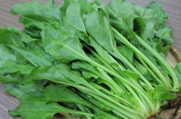 Rau cải bó xôi chứa nhiều chất dinh dưỡng, tốt cho bà bầu 3 tháng đầu thai kỳ.