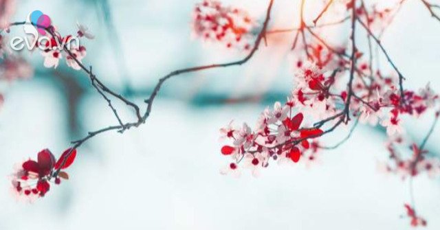 Gallery - 8 điều nhỏ để bản thân hạnh phúc hơn trong nửa sau cuộc đời