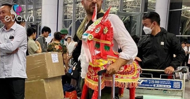 View - Tin tức 24h: Tại sao ngựa vàng mã bị từ chối đưa lên máy bay dù không trong danh mục cấm?