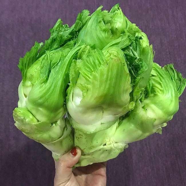 View - Loại rau xưa chỉ người nghèo ăn, giờ thành đặc sản nổi tiếng được người thành phố săn lùng, 75.000 đồng/kg