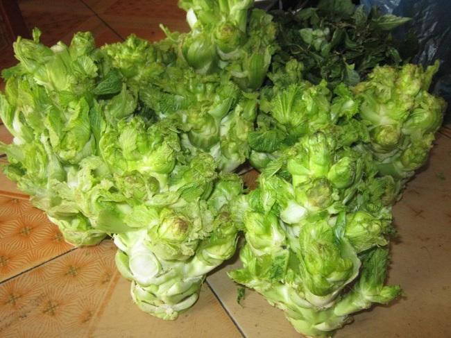 View - Loại rau xưa chỉ người nghèo ăn, giờ thành đặc sản nổi tiếng được người thành phố săn lùng, 75.000 đồng/kg