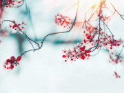 Eva tám - 8 điều nhỏ để bản thân hạnh phúc hơn trong nửa sau cuộc đời