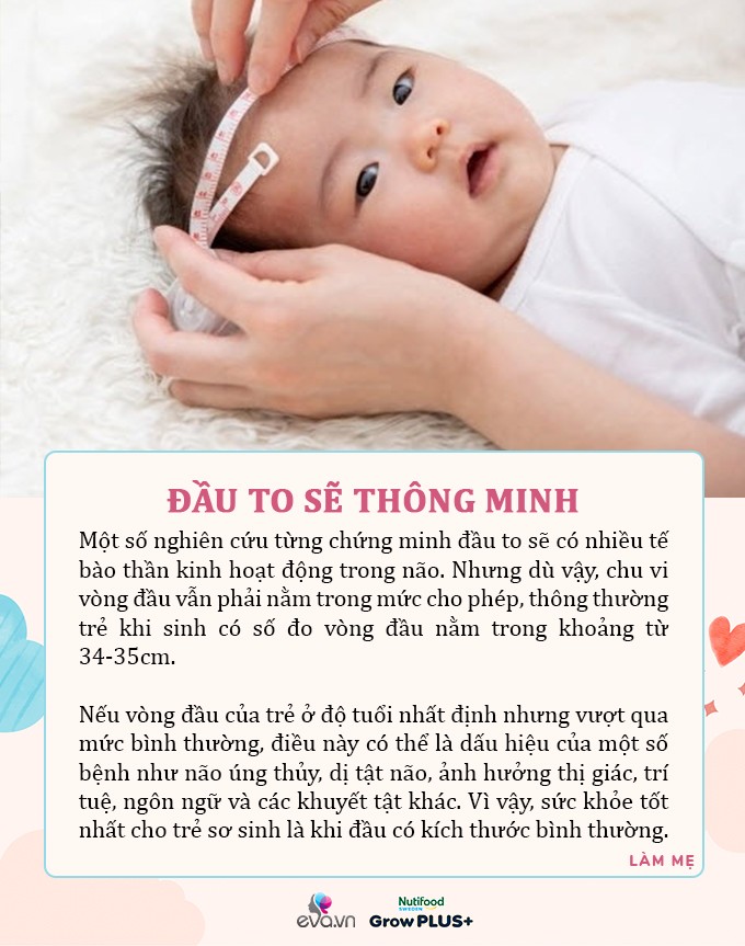 View - Trẻ có đầu càng to càng thông minh? 7 quan niệm chăm sóc trẻ sơ sinh bố mẹ nên tỉnh táo khi nghe