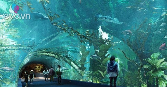 View - Khám phá thủy cung trong nhà lớn nhất Hà Nội: Nhiều người hụt hẫng so với kỳ vọng