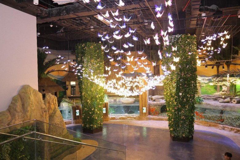 View - Khám phá thủy cung trong nhà lớn nhất Hà Nội: Nhiều người hụt hẫng so với kỳ vọng