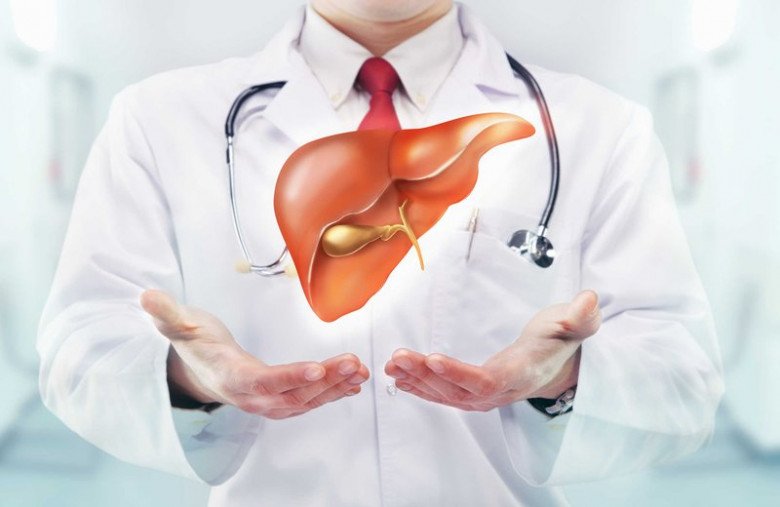 Lá gan là cơ quan thải độc, chống độc vì thế phải bảo vệ từ việc ăn uống hàng ngày. 