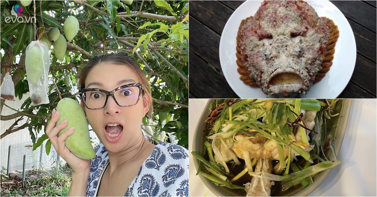 Gallery - Phạm Thanh Thảo được chồng đại gia nấu loài cá trông rất dữ tợn, ở Việt Nam giá đắt đỏ, cả chục triệu đồng/con