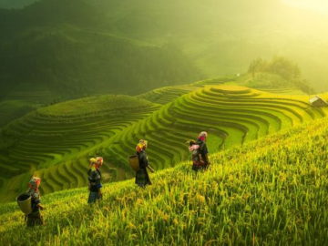 Bỏ túi ngay 5 địa điểm du lịch cực hot mà bạn nhất định phải ghé qua trong 5 tháng cuối năm 2023