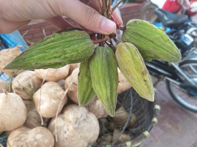 Loại quả này chua khé cổ nhưng nếu biết kết hợp thì sẽ có mùi vị rất riêng