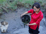 Tin tức - Gặp gỡ Út về vườn - cô gái 24 tuổi bỏ phố về lao động chân tay: "Vất vả nhưng chưa bao giờ chán nản"