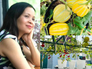 Nhà đẹp - Mê mệt khu vườn 30m2 trên sân thượng của nữ giảng viên đại học: rau xanh mướt mắt, củ quả sum suê trĩu cành