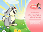 Nuôi con IQ EQ - Truyện cổ tích: Thỏ và Nhền Nhện
