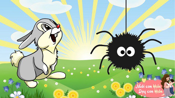 View - Truyện cổ tích: Thỏ và Nhền Nhện