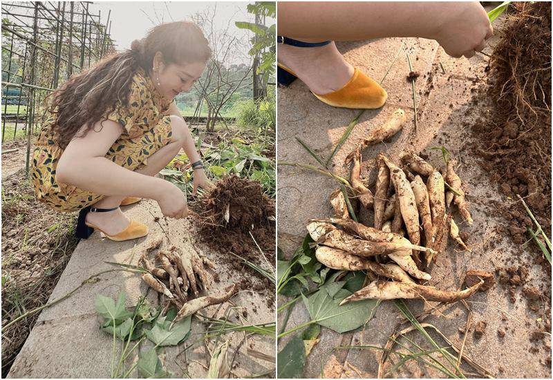 Ngoài ra công việc và đam mê chính của cô là làm vườn trong căn biệt thự rộng lớn. Cô tự tay trồng và chăm sóc tất cả các loài hoa, quả, cây ăn trái...
