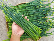 Sức khỏe - Đi chợ thấy 3 loại rau này mua ngay còn kịp vì có cả kho dinh dưỡng lại không lo dính hóa chất