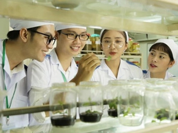 Có một nhóm ngành học ít được để ý tới: Cần nhiều nhân sự trong tương lai, có cơ hội học và làm việc tại nước ngoài