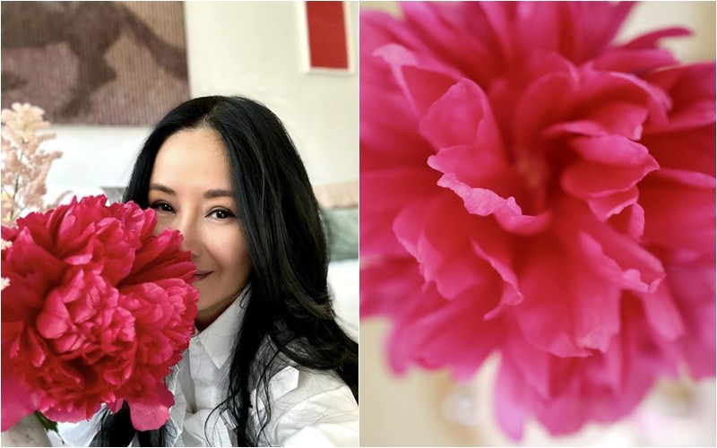 Hoa hậu Hà Kiều Anh đã phải thốt lên: "Trời, bông peony to hơn mặt chị luôn". Hồng Nhung còn bày tỏ với bạn bè, hoa có nhiều lớp cánh mỏng và rất mềm.
