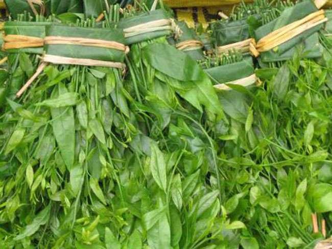 View - Loại rau dại trước không ai ăn, giờ thành đặc sản được săn lùng khắp cõi mạng, giá bán lên tới 300.000 đồng/kg