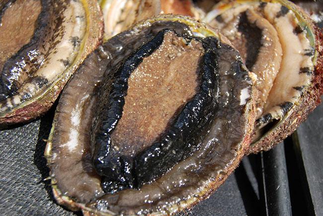 Giật mình với những loại thịt đắt nhất thế giới, chỉ dành cho những đại gia, loại số 8 về Việt Nam “bán chạy như tôm tươi” - 4