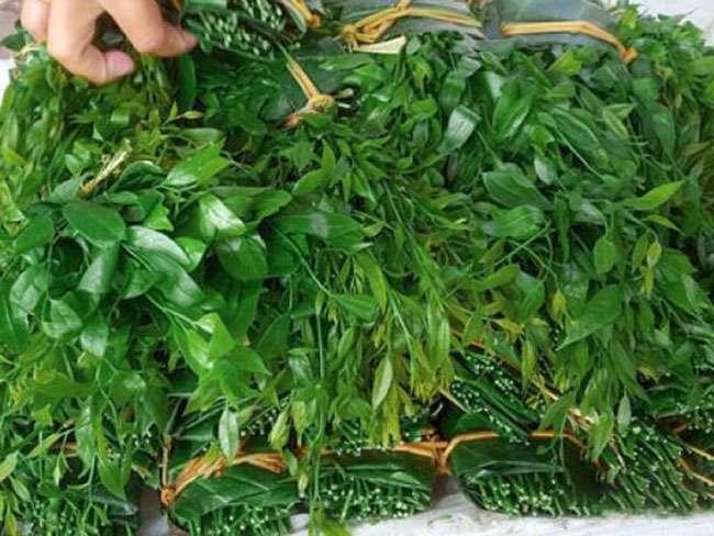 View - Loại rau dại trước không ai ăn, giờ thành đặc sản được săn lùng khắp cõi mạng, giá bán lên tới 300.000 đồng/kg