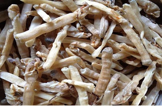 View - Là thực phẩm "đại bổ” cho phái mạnh có giá lên tới 5 triệu đồng/kg, chị em săn lùng ráo riết tẩm bổ cho chồng