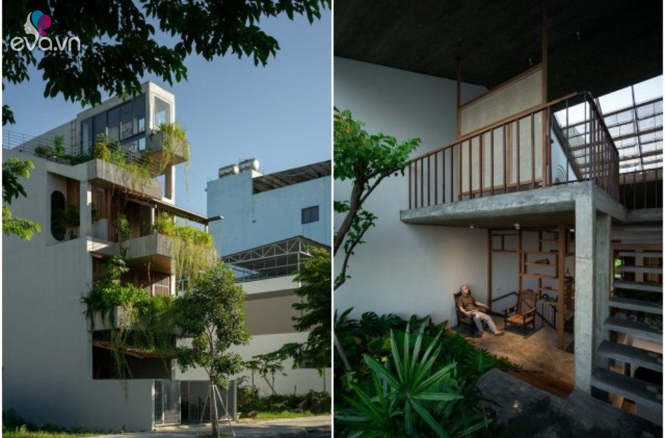 Gallery - Mê mẩn với căn nhà dân dã trồng hoa cỏ thơm bên trong