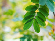 Eva tám - Sự tỉnh táo lớn nhất của đời người là làm hài lòng chính mình