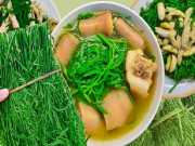 Lifestyle - Loại rau được ví là “vua giải nhiệt” mùa hè, ăn thường xuyên mát gan, là đặc sản của Tây Bắc, giá gần 200.000 đồng/kg