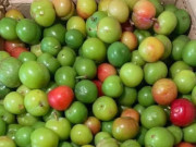 Tiêu dùng - Loại quả xưa chín rụng đầy, giờ thành đặc sản mùa hè giòn ngon, được ưa chuộng đến lạ, 40.000 đồng/kg