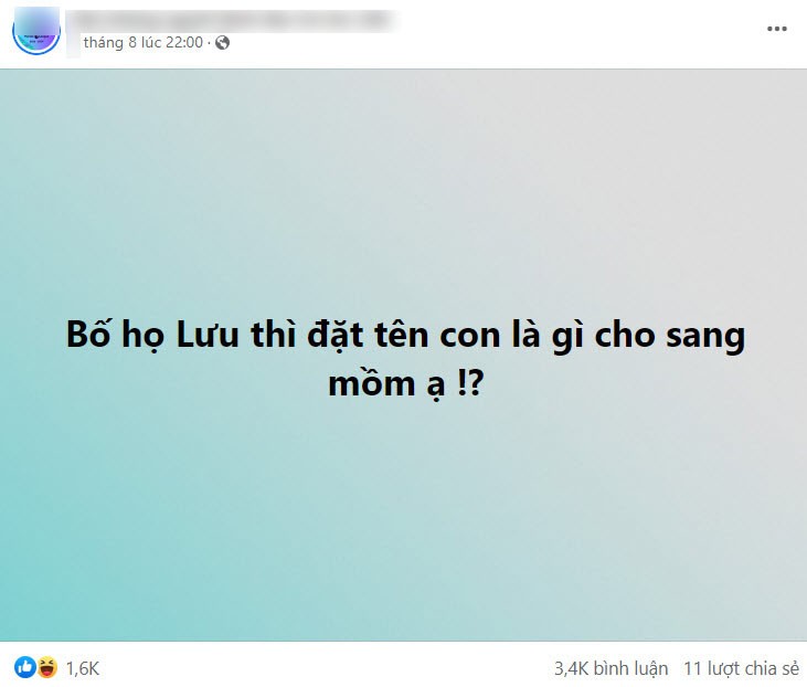 Bố họ Lưu hỏi đặt tên con là gì cho sang, ngã ngửa với kết quả từ dân mạng - 1