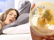 Sức khỏe - Món đồ trên giường bẩn hơn bồn cầu gấp 17.000 lần, có thể gây viêm màng não, viêm phổi nếu không làm 1 việc