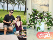 Nhà đẹp - Vợ xinh đẹp của BTV Quốc Khánh cắm loại quả thơm nức nhưng mãi "không ra hồn", chỉ thay 1 chi tiết nhìn khác hẳn