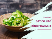 Sức khỏe - 5 loại rau này dù đắt cỡ nào cũng phải mua, dư lượng thuốc trừ sâu bằng 0, người lớn trẻ nhỏ yên tâm ăn