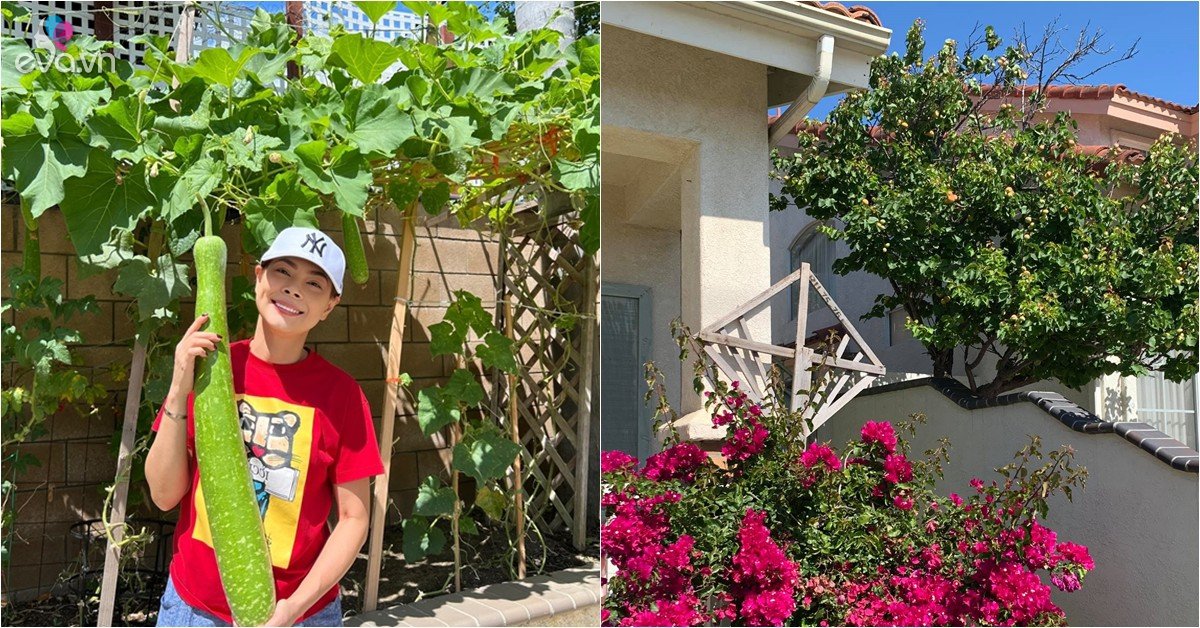 View - Thanh Thảo khoe: Em đang có bầu, bầu sai trái ăn không kịp luôn! 0 567200