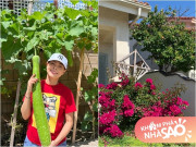 Nhà đẹp - Thanh Thảo khoe: "Em đang có bầu, bầu sai trái ăn không kịp luôn!"